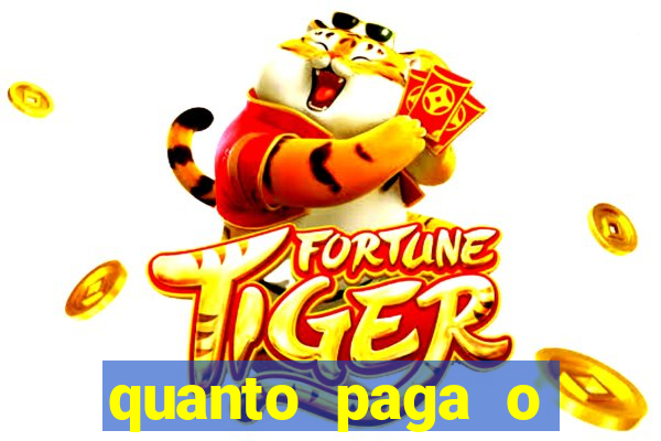 quanto paga o jungle fight